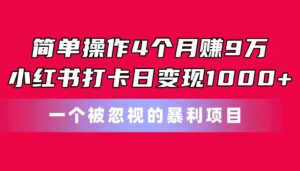 简单操作4个月赚9万！小红书打卡日变现1000+！一个被忽视的暴力项目-56课堂