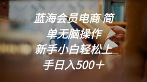 蓝海会员电商 简单无脑操作 新手小白轻松上手日入500+-56课堂
