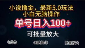 全自动小说撸金，单号日入100+小白轻松上手，无脑操作-56课堂