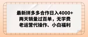 最新拼多多合作日入4000+两天销量过百单，无学费、老运营代操作、小白福利-56课堂