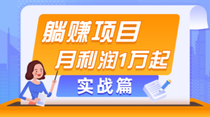 躺赚副业项目,月利润1万起,当天见收益,实战篇-56课堂