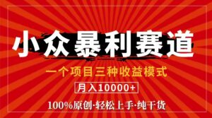 视频号【中老年粉深信不疑】小众赛道 100%原创 手把手教学 新号3天收益...-56课堂
