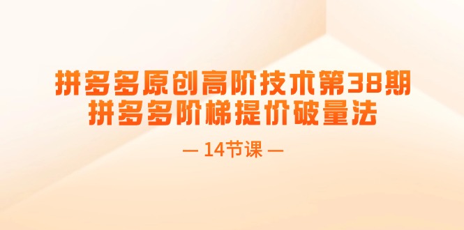 拼多多原创高阶技术第38期，拼多多阶梯提价破量法（14节课）-56课堂