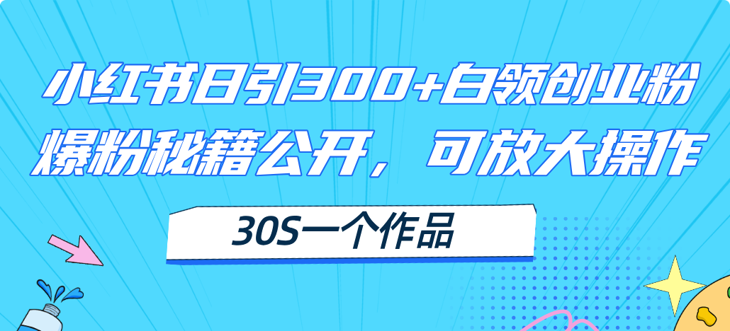 小红书日引300+高质白领创业粉，可放大操作，爆粉秘籍！30s一个作品-56课堂