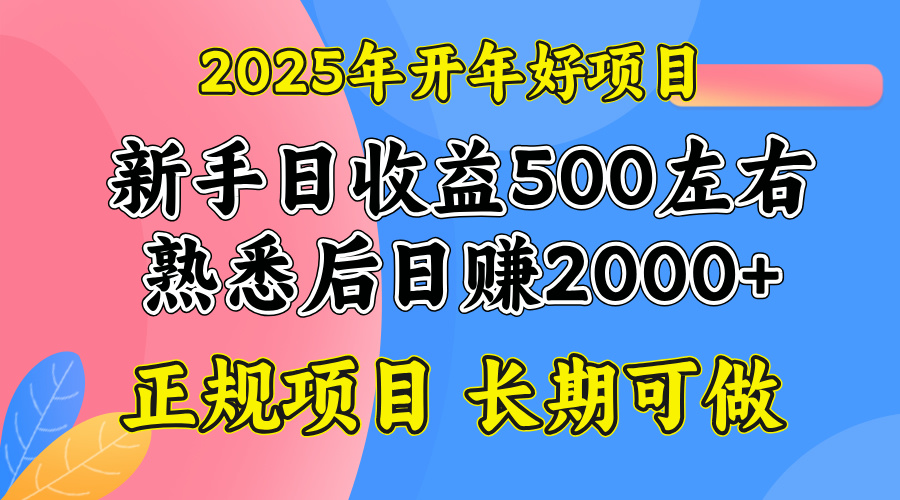 2025开年好项目，单号日收益2000左右-56课堂