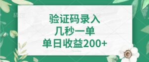 验证码录入，几秒一单，单日收益200+-56课堂