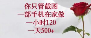 你只管截图，一部手机在家做，一小时120，一天500+-56课堂