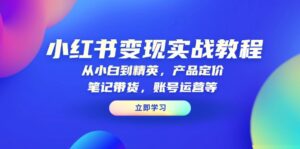 小红书变现实战教程：从小白到精英，产品定价，笔记带货，账号运营等-56课堂
