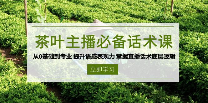 茶叶 主播必备话术课 从0基础到专业 提升语感表现力 掌握直播话术底层逻辑-56课堂