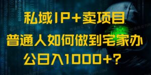 私域IP+卖项目,普通人如何做到宅家办公实现日入1000+-56课堂