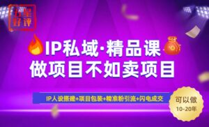 2025年“IP私域·密训精品课”,日赚3000+小白避坑年赚百万,暴力引流...-56课堂