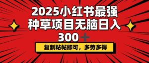 2025小红书最强种草项目,无脑日入300+,复制粘帖即可,多劳多得-56课堂