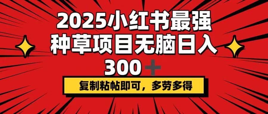 2025小红书最强种草项目，无脑日入300+，复制粘帖即可，多劳多得-56课堂