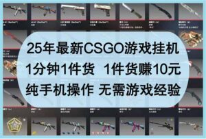 25年最新CSGO游戏挂机,1分钟1件货,1件货赚10元 纯手机操作 无需游戏经验-56课堂