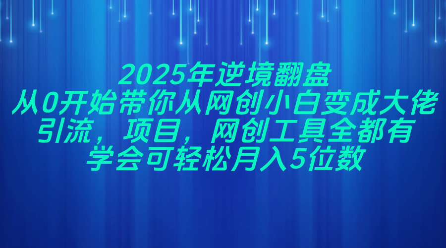 2025年逆境翻盘，从0开始带你从网创小白变成大佬，引流，项目，网创工…-56课堂