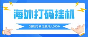 海外打码平挂机项目,全自动撸美金,无脑月入5000+-56课堂